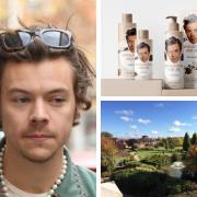 You can now book a Harry Styles inspired spa day in Redditch