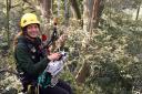 Anna Gardner carries out vital experiments in treetops to help scientists understand more about decarbonisation. Photo: Freddie Miller.
