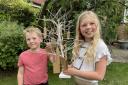Studley youngsters Sam and Amber Smith pose with the 'Pledge Tree'.