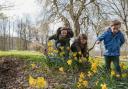 An Easter egg hunt is among the free activities on offer. Picture: Getty Images/Solstock