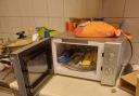 Illegal items hidden inside a microwave at the shop