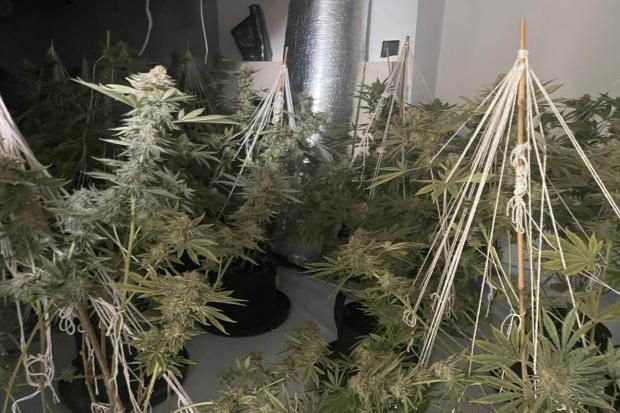 A cannabis grow worth around £125,000 has been discovered at a property in Tewkesbury