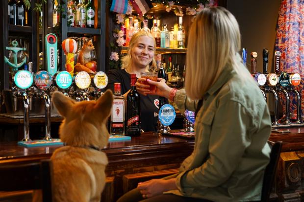 Redditch Advertiser: Take a Corgi for a free 'Queen's Tipple' over the Platinum Jubilee weekend. Picture: Greene King