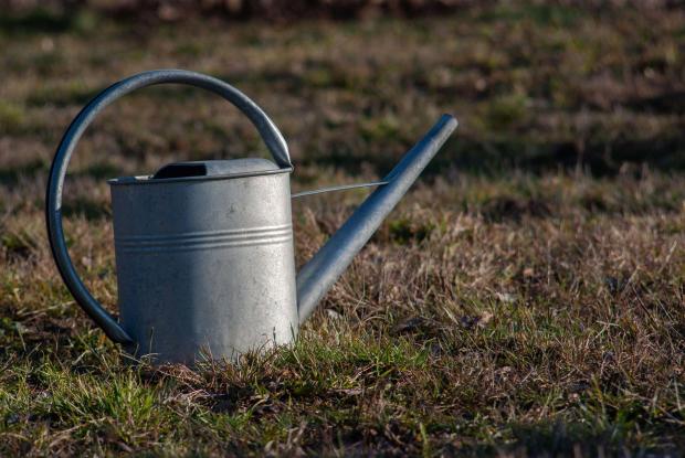 Redditch Advertiser: Watering can sitting on the grass. Credit: PA