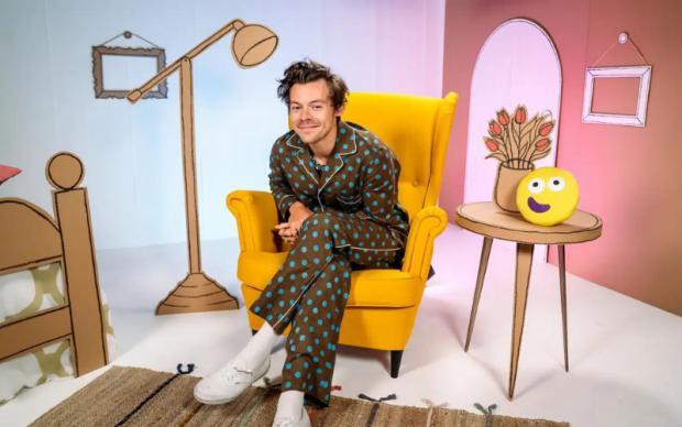 Redditch Advertiser: Harry Styles read the nation a bedtime story on Monday night (May 23) Picture: PA/BBC