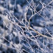 A cold weather alert has been issued for central England. Image: Pixabay.