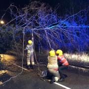 Fire crews worked to clear a tree blocking Middlehouse Lane. Photo: Redditch Fire Station.