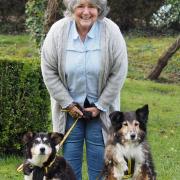 Dogs Trust volunteer Sue Lewis with Teddy (right) and Sheba (left)