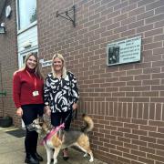 Georgia Smith and Amy Carstairs from DM & Co. Homes with eight-year-old Bee, a German Shepherd Husky cross who is looking for her forever home