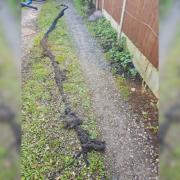 YUCK! - Seven metres of hair was blocking a pipe in Redditch