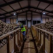 Redditch-based Oakland International has confirmed a new on site operational partnership between Oddbox and Mindful Chef, bringing three purpose led food businesses together to scale sustainably, reduce food waste and simplify how customers shop for food