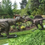 Review: Jurassic Kingdom at Birmingham's Botanical Gardens